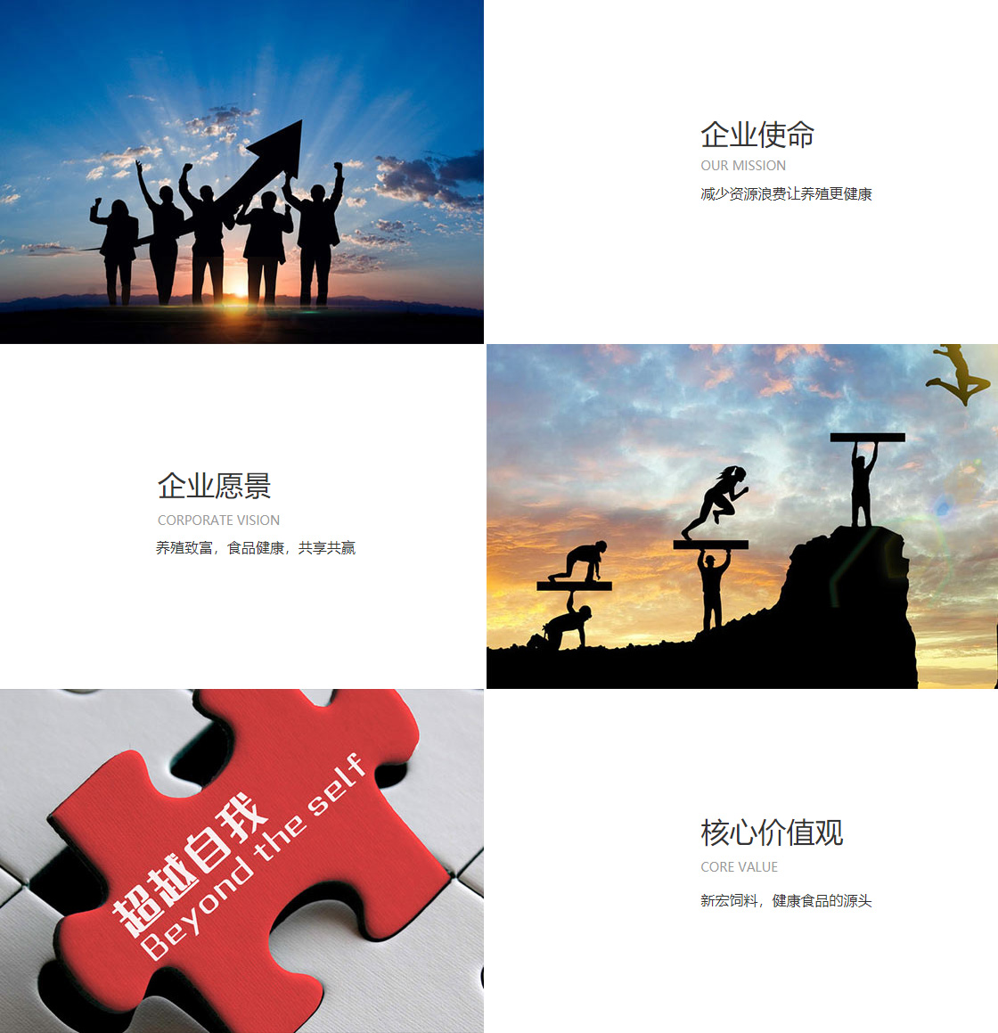 388.pm麻将胡了(图1)